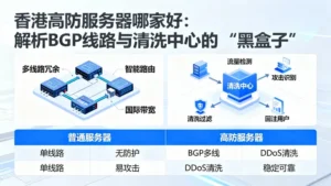 香港高防服务器哪家好：解析BGP线路与清洗中心的“黑盒子”
