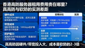 香港高防服务器租用费用贵在哪里？真高防与软防的实测差距