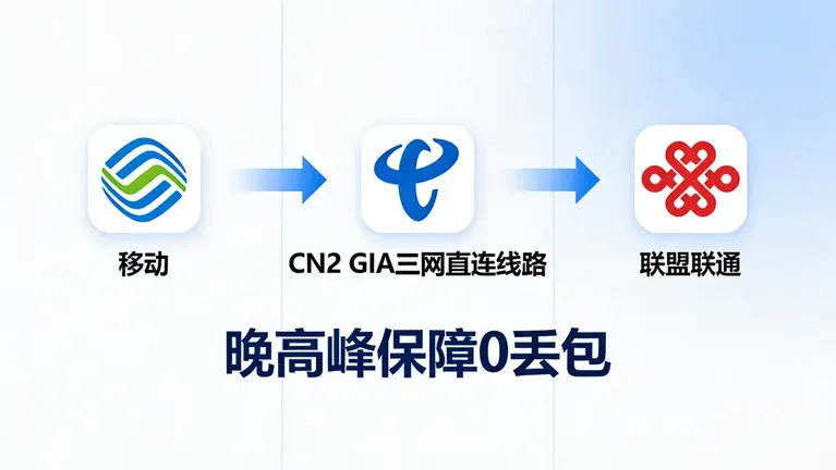 CN2 GIA三网直连线路，晚高峰保障0丢包