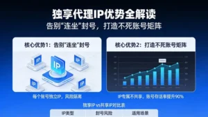 独享代理IP优势全解读：告别“连坐”封号，打造不死账号矩阵