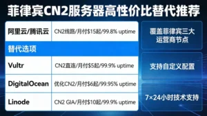 菲律宾cn2服务器推荐：阿里云/腾讯云之外的高性价比替代