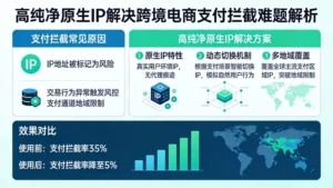 高纯净原生IP如何解决跨境电商支付环节的被拦截难题？