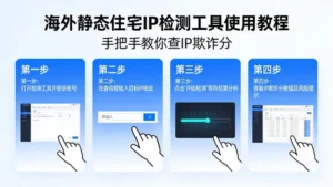 海外静态住宅ip检测工具使用教程：手把手教你查IP欺诈分