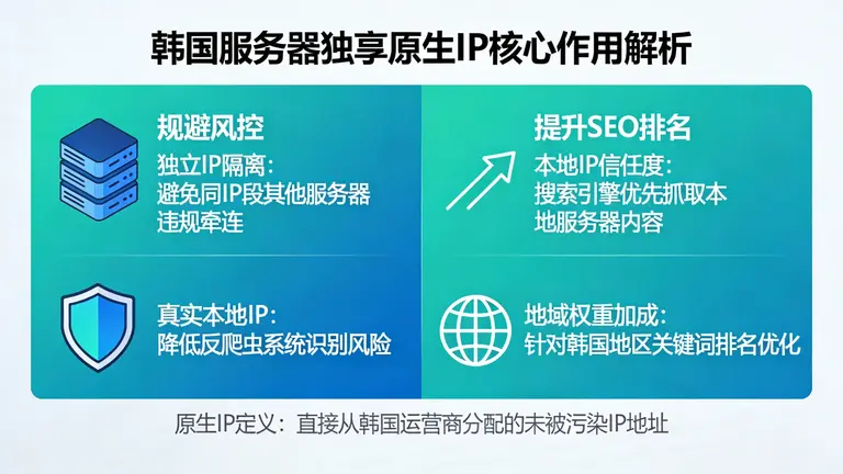 韩国服务器独享原生IP在规避风控和提升SEO排名中的核心作用