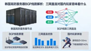 抗打的韩国高防服务器BGP线路解析：三网直连对国内玩家意味着什么？