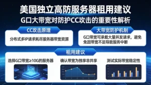 美国独立高防服务器租用建议：为什么G口大带宽对防护CC攻击至关重要？