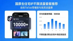 美国原生住宅IP不限流量套餐推荐：告别TikTok零播放与高昂流量费