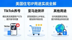 美国住宅IP有哪些用途？从TikTok养号到亚马逊测评的实战全解