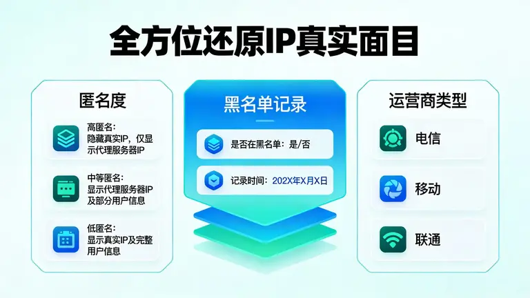 从匿名度、黑名单记录到运营商类型，全方位还原IP的真实面目