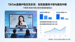 TikTok直播IP稳定性实测：告别直播间卡顿与推流中断