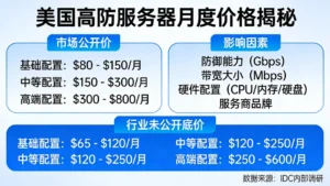美国高防服务器多少钱一个月？揭秘IDC行业不愿公开的底价