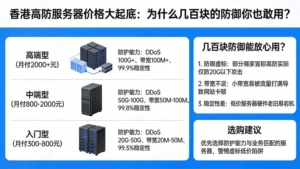 香港高防服务器价格大起底：为什么几百块的防御你也敢用？