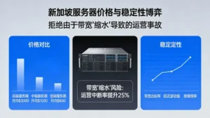 新加坡服务器价格与稳定性博弈：拒绝由于带宽“缩水”导致的运营事故