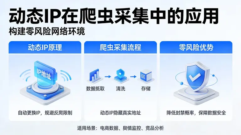 动态IP在爬虫采集中的应用，助你构建零风险网络环境