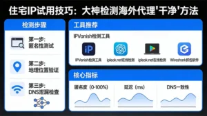 住宅IP试用技巧：大神都是怎么检测海外代理“干净不干净”的？