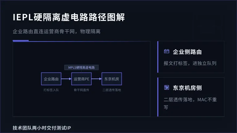 企业路由器-运营商PE-东京机房的虚电路路径，辅助理解硬隔离机制