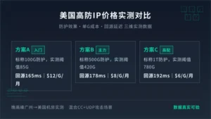 美国高防IP价格对比:3家主流方案防护效果+成本+延迟实测