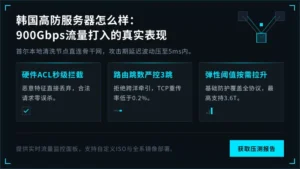 韩国高防服务器怎么样：900Gbps流量打入的真实表现
