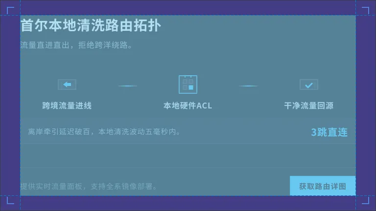 首尔机房网络与清洗路由