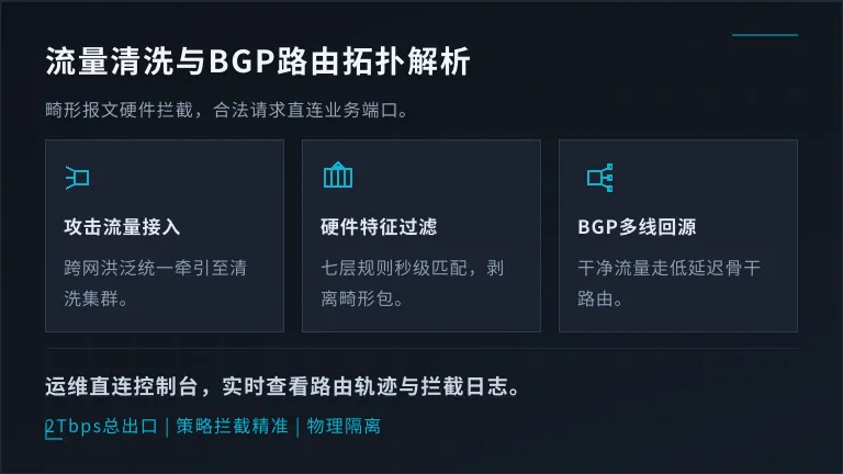 流量清洗与BGP路由