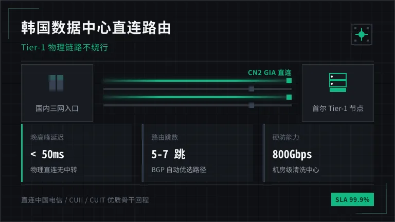 韩国数据中心骨干网路由