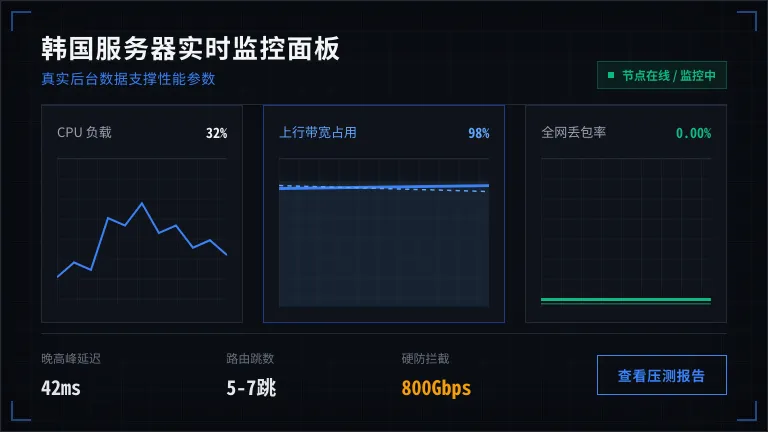 韩国服务器实时监控面板