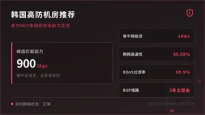 韩国高防机房推荐 首尔BGP多线机房抗攻击能力实测