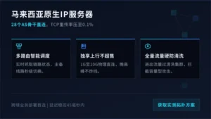 马来西亚原生ip服务器28个AS直连降低TCP重传
