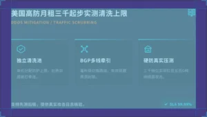 美国高防服务器月租3000元起步,实测能扛多大流量
