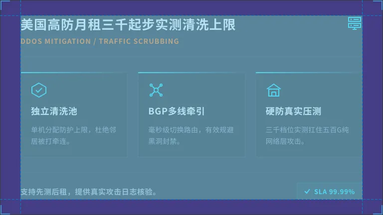 美国高防服务器月租3000元起步,实测能扛多大流量