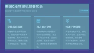 美国c段ip服务器2026年物理机配置与租用解析