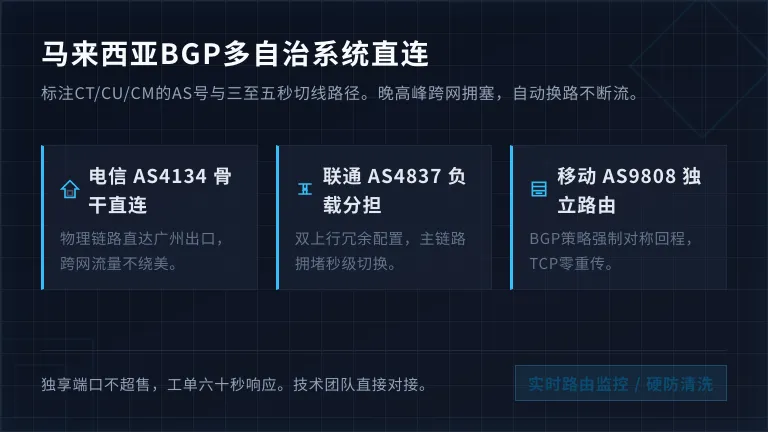 马来西亚BGP网络多自治系统直连