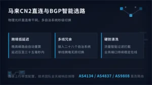 马来西亚服务器回国cn2 直连光纤与BGP选路