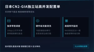 日本服务器租用cn2-gia 独立站并发承载配置单