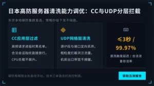 日本高防服务器清洗能力调优：CC与UDP分层拦截