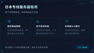 日本专线服务器租用6项网络防护与传输稳定性测试
