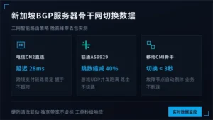 新加坡bgp服务器3条骨干网切换数据公开