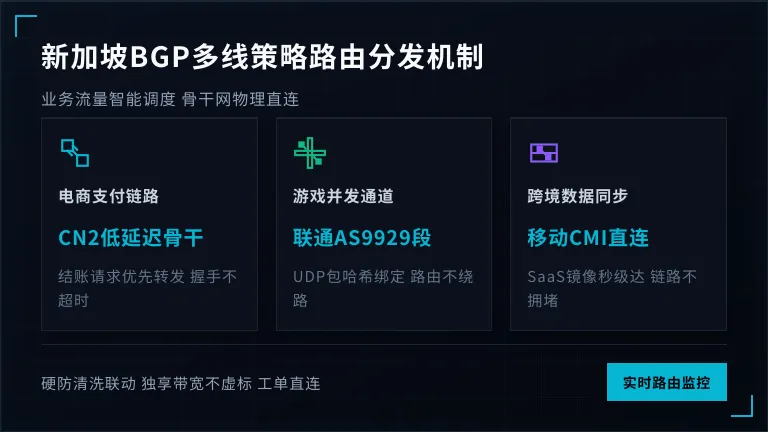 新加坡BGP多线策略路由