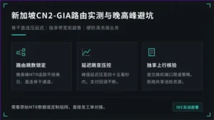 新加坡cn2-gia服务器3大路由实测与晚高峰避坑