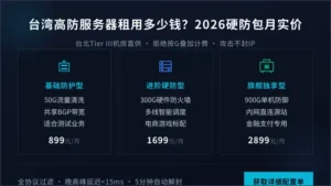 台湾高防服务器租用多少钱？2026年硬防包月实价清单