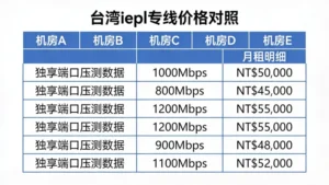 台湾iepl专线价格对照：5个机房独享端口的压测数据与月租明细