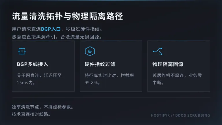 美国高防服务器流量清洗拓扑图