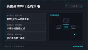 美国高防vps租用怎么选？