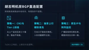 越南服务器bgp线路胡志明机房5项网络配置