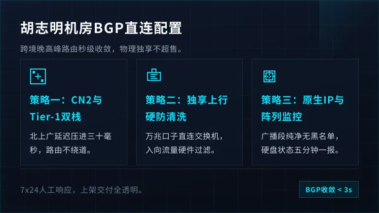 越南服务器bgp线路胡志明机房5项网络配置