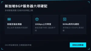 新加坡bgp服务器6项配置拉高并发承载上限