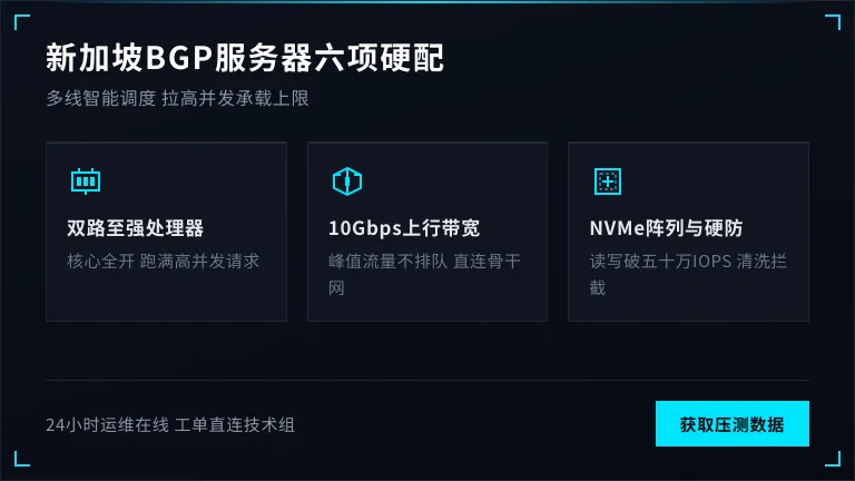 新加坡bgp服务器6项配置拉高并发承载上限