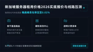 新加坡服务器租用价格2026年实底报价与线路压测