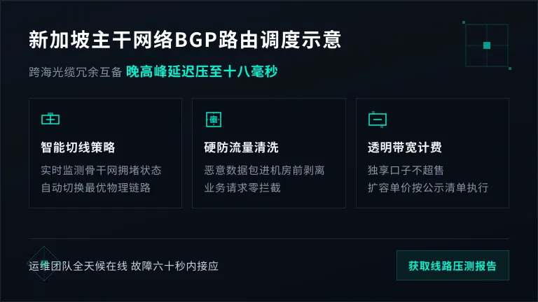 新加坡主干网络BGP路由调度