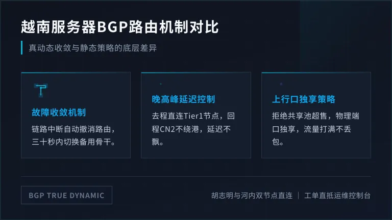 越南服务器bgp线路真动态与静态多线区别